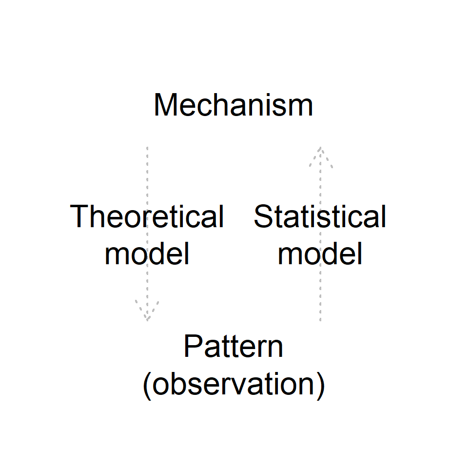 Conceptual diagram for the roles of theoretical and statistical models. Theoretical models (generally) predict patterns under certain mechanisms (and assumptions) while statistical models infer mechanisms behind observed patterns